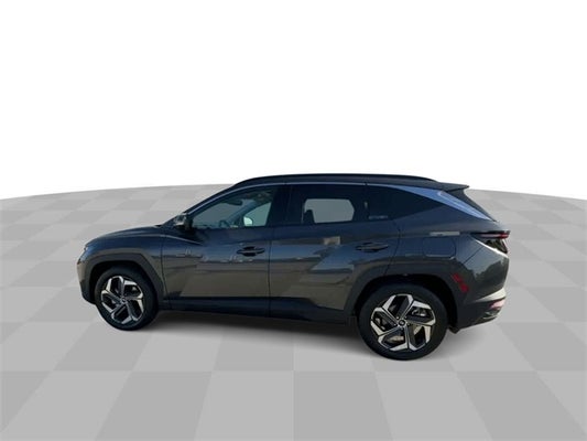 2023 Hyundai Tucson Limited *SUNROOF ONE OWNER* in St. Louis, MO - Weber Chevrolet