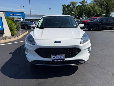2022 Ford Escape Hybrid SEL