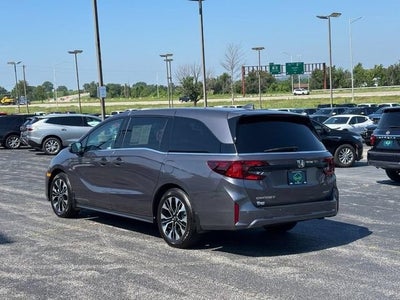 2026 Honda Odyssey Elite